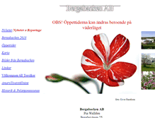Tablet Screenshot of bergabacken.se